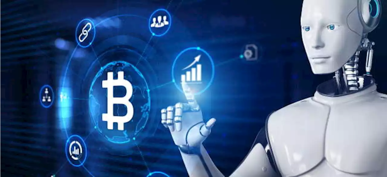 Bitcoin Robots: So funktionieren sie und das ist wichtig