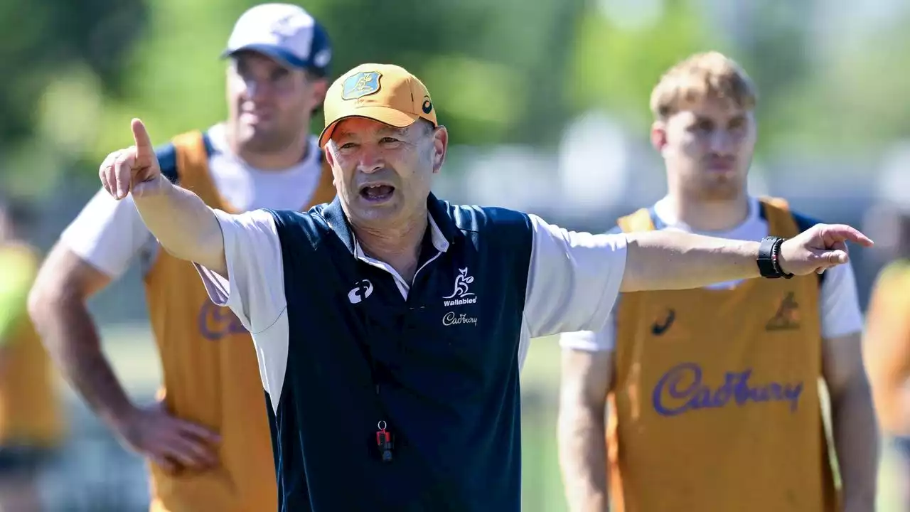 Wallabies shock as assistant quits on eve of Rugby World Cup campaign