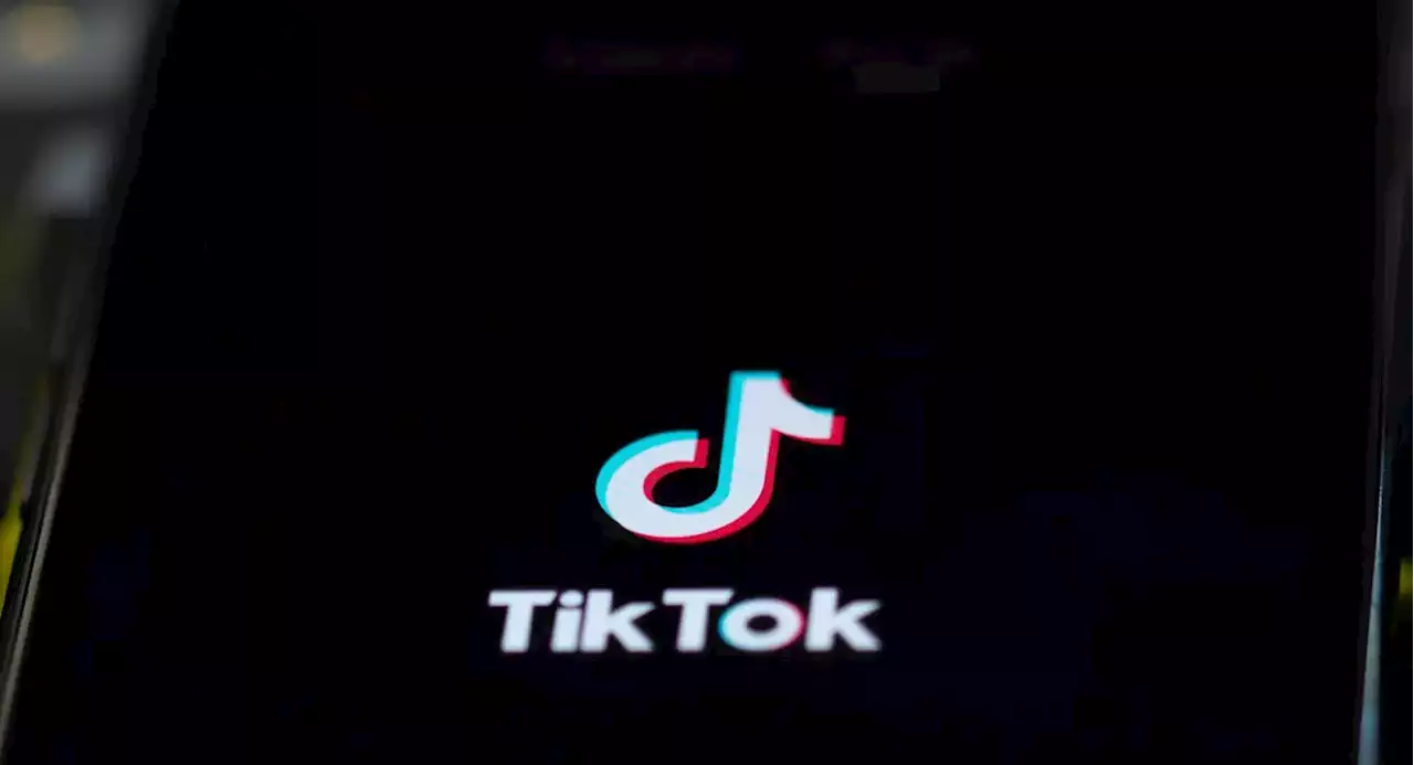 Early Addition: NYC's TikTok challenge