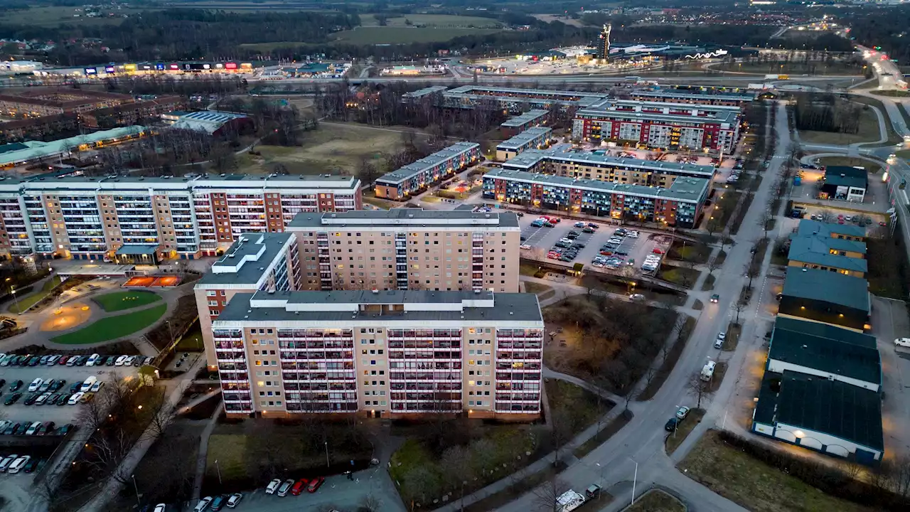 Halmstad en del av den globala utvecklingen