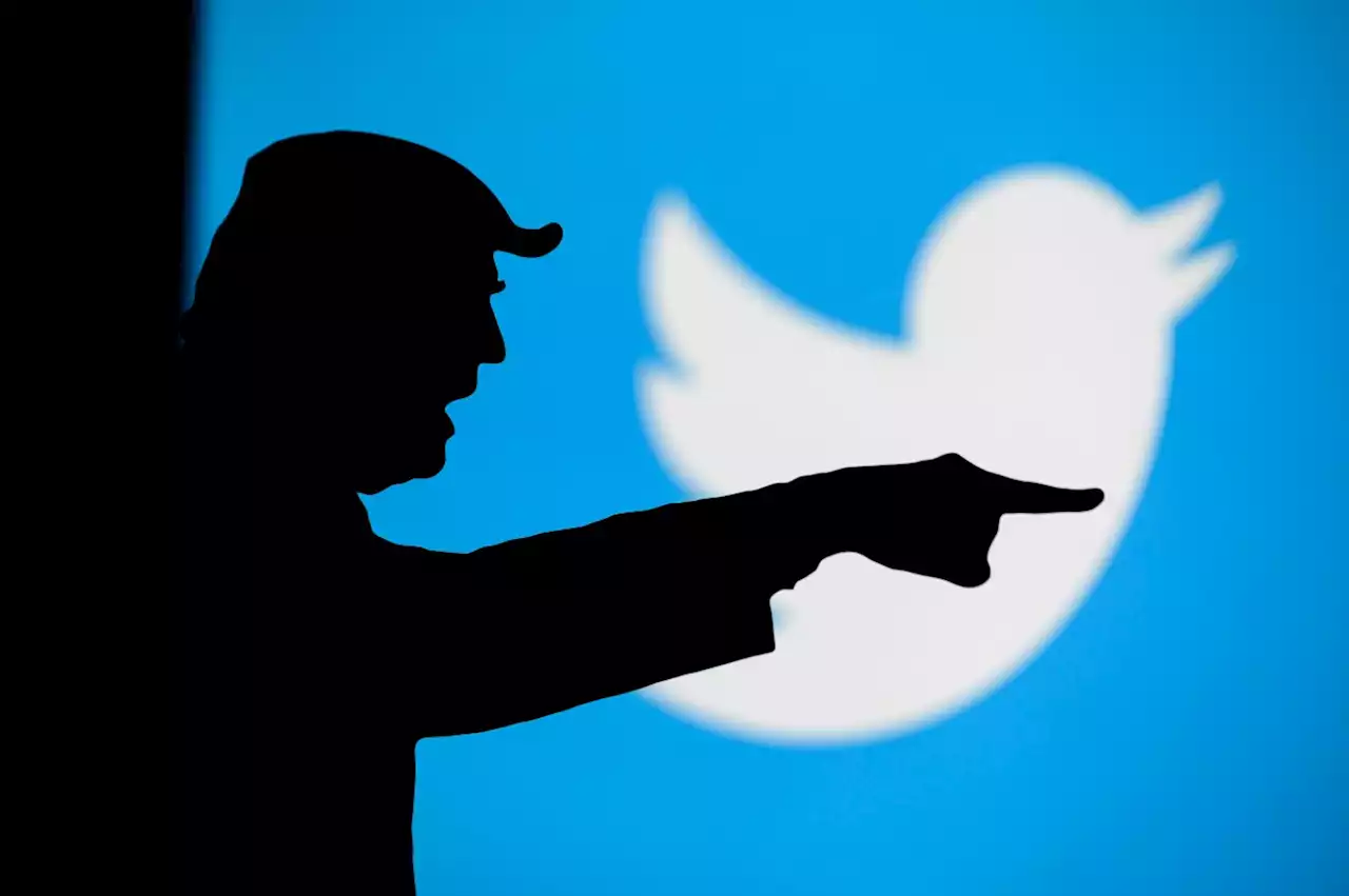 Twitter: US-Sonderermittler hat Trumps gelöschte Direktnachrichten erhalten