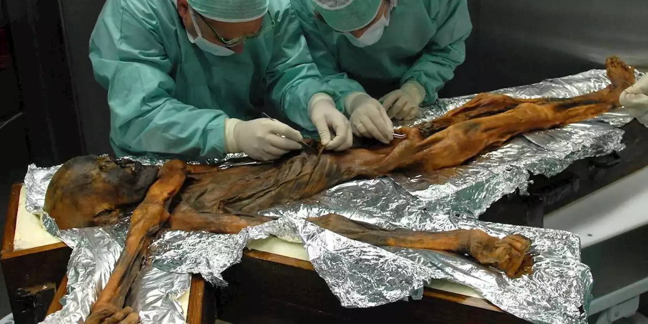 Ötzi aveva la pelle più scura di quanto credessimo