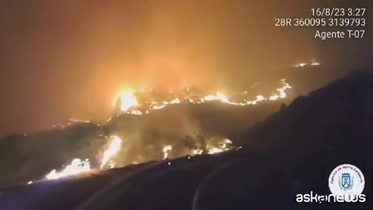 Spagna, grande incendio boschivo sull'isola di Tenerife