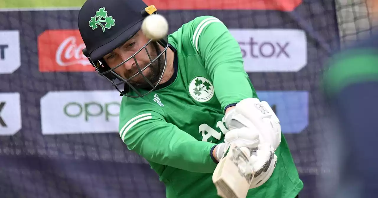 Andrew Balbirnie back among the cavalry as Ireland push forward with their new T20 identity