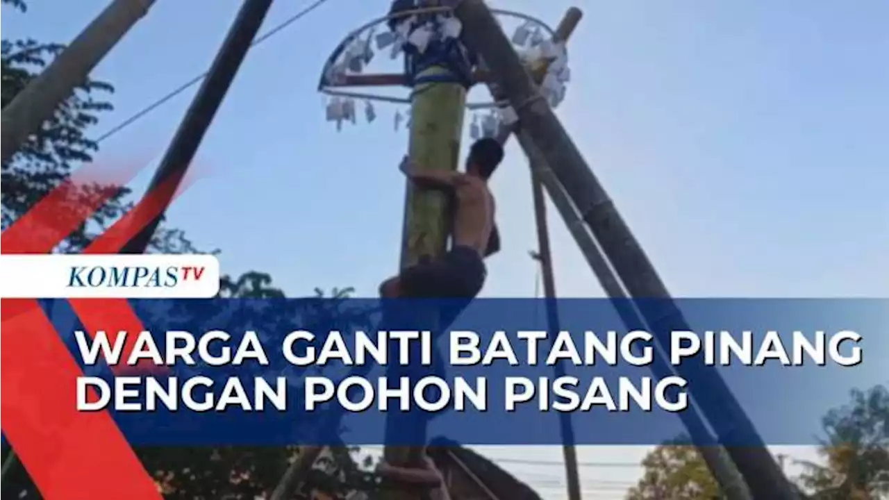 Pohon Pinang Langka dan Mahal, Warga Wonosari Bikin Lomba Panjat Pohon Pisang yang Gak Kalah Seru!