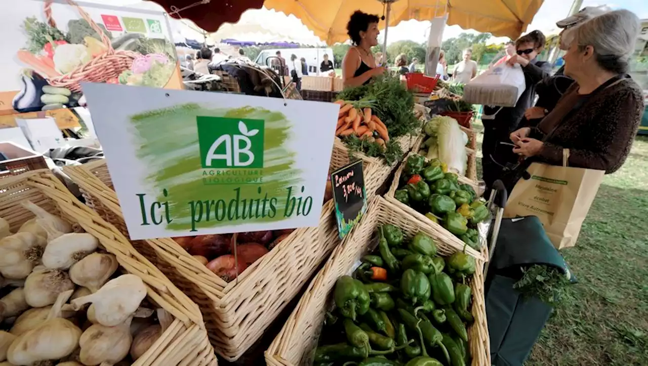 Les agriculteurs bio du Lot-et-Garonne bientôt indemnisés pour faire face à la crise