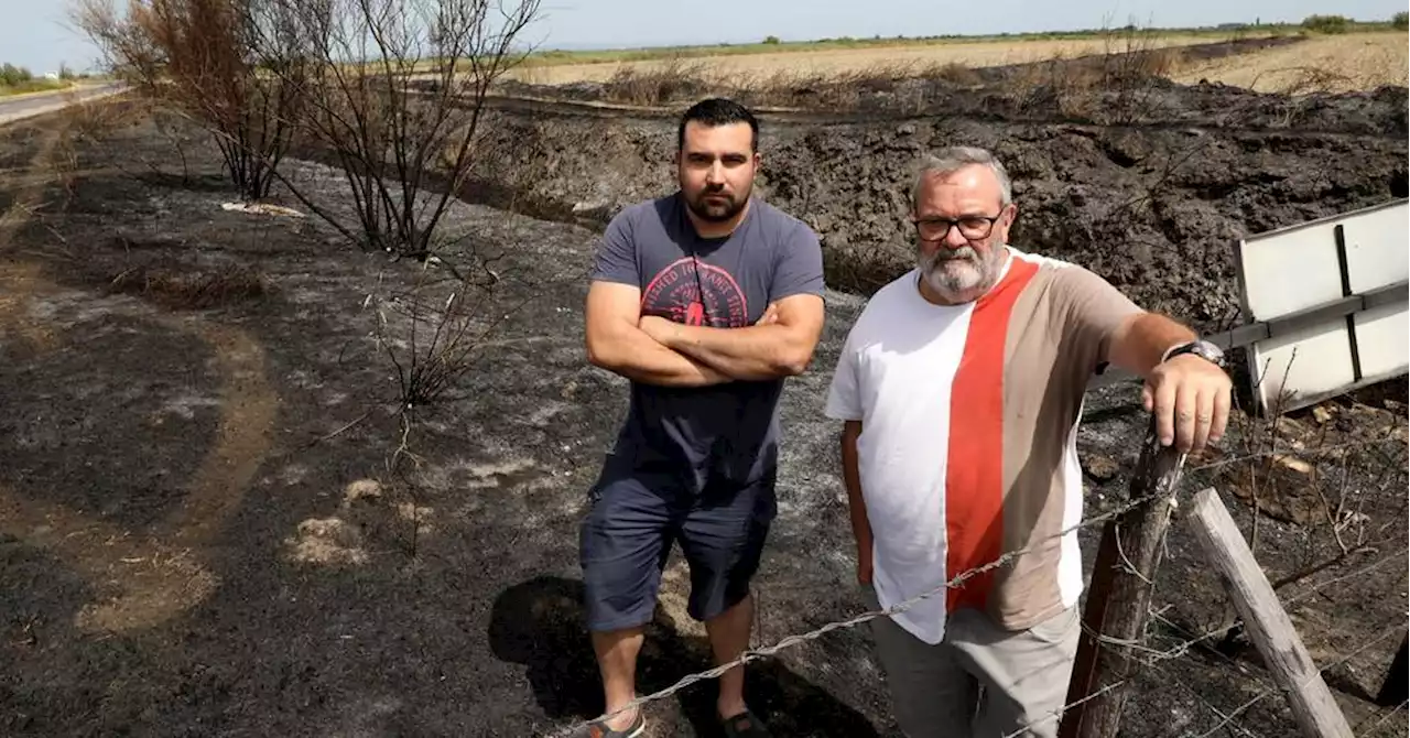 'Arlésiens de seconde zone' : la colère monte chez ces Camarguais sans borne incendie dans leurs hameaux