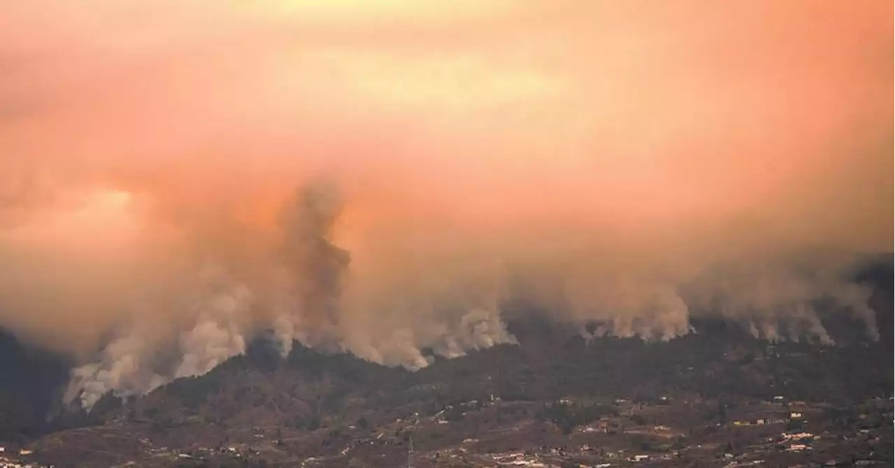 Espagne: les Canaries confrontées à leur incendie 'le plus compliqué' des 40 dernières années