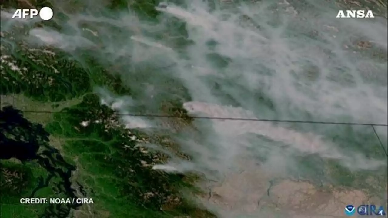 Canada, le nuvole di fumo generate da un incendio viste dal satellite: le immagini in timelapse