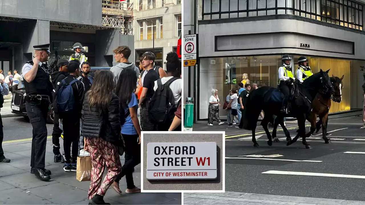 Huge police presence on London's Oxford Street as security guards swarm amid new rumours of 'organised' looting