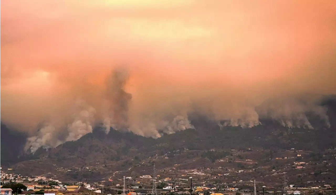 Espagne: les Canaries confrontées à leur incendie 'le plus compliqué' des 40 dernières années