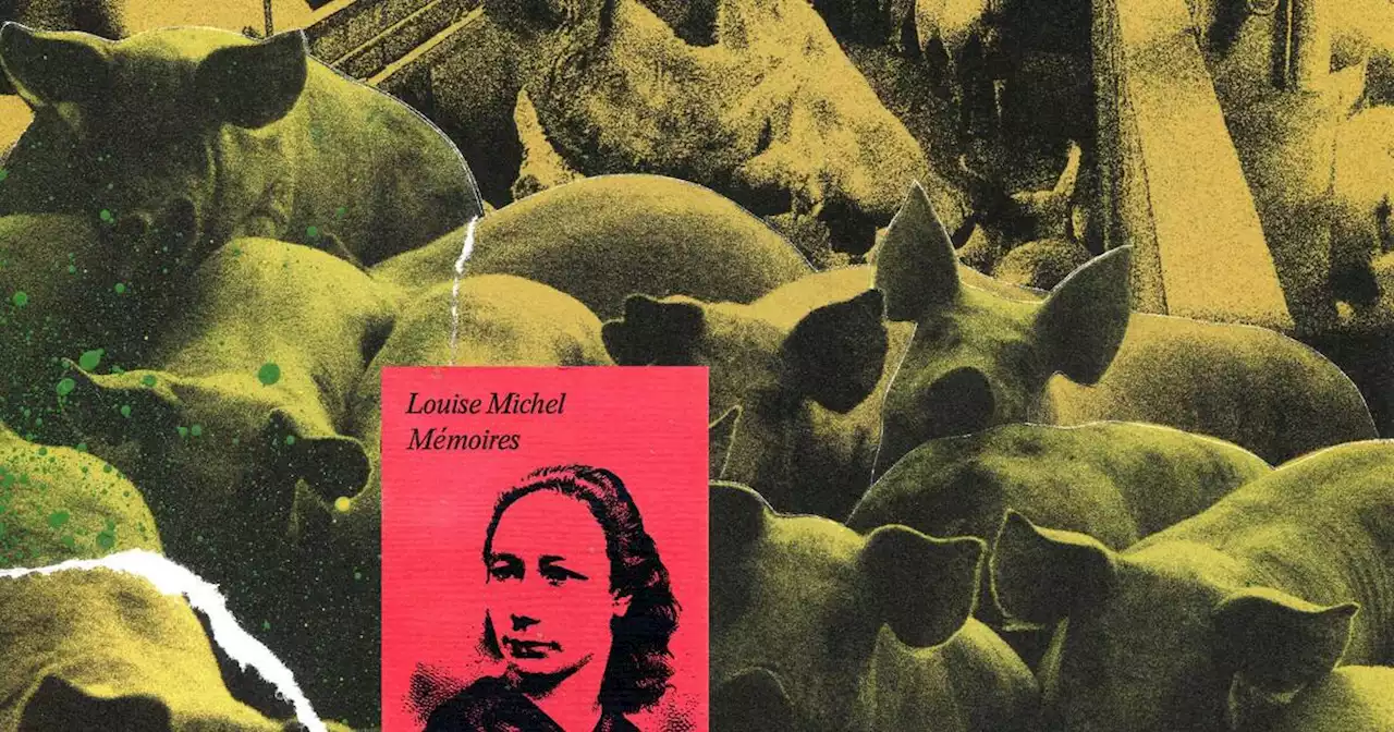 «La Cruauté contre les bêtes» de Louise Michel : le loup devrait être un homme pour l’homme