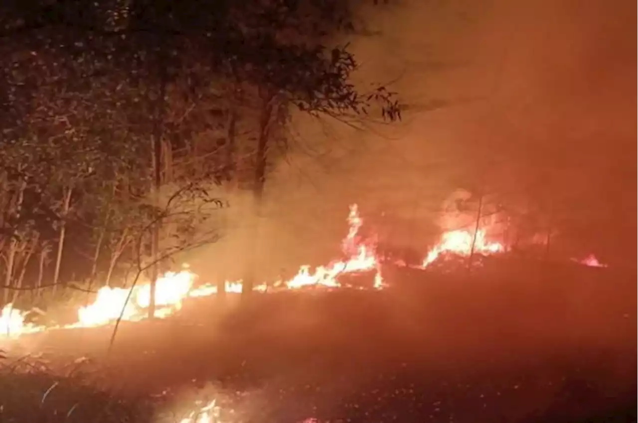 Diduga Ulah Pemancing, 10 Hektare Lahan di Lintas Timur Bangka Terbakar