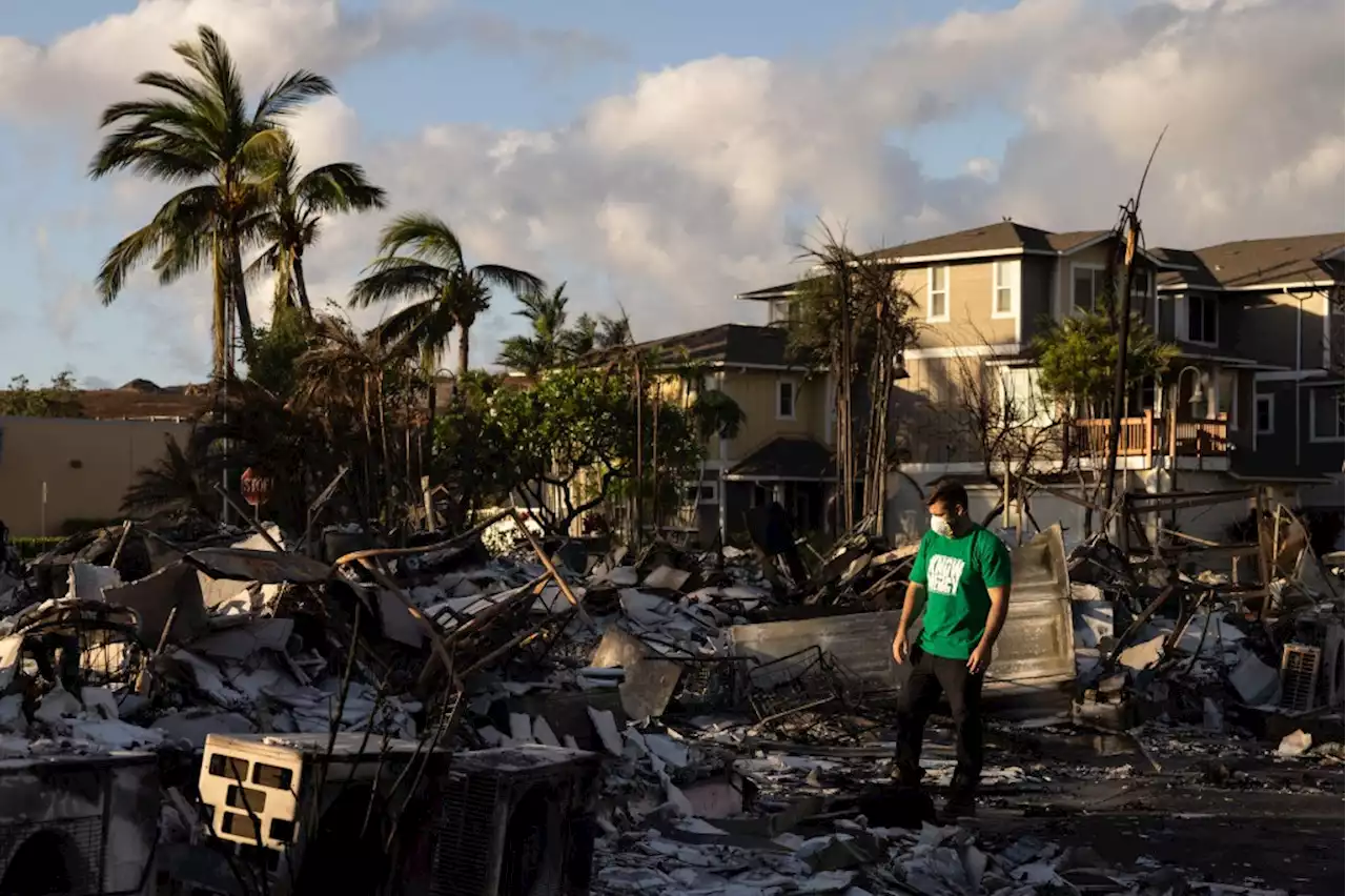 Hawaii works to pause land transactions in area of deadly Maui wildfires. Follow live updates