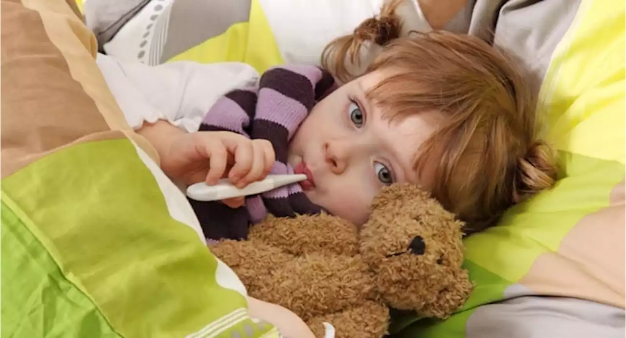 When to Take a Toddler to the Emergency Room With a Fever