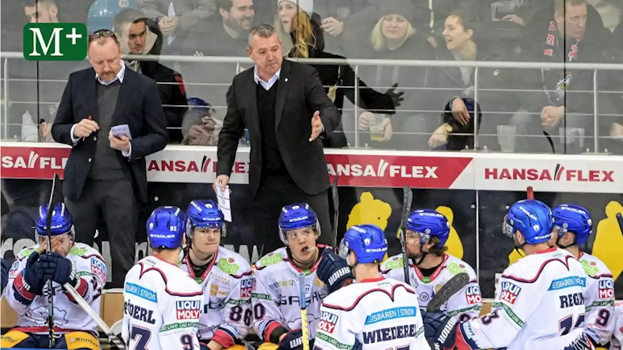 Eisbären Berlin: „Auf Platz elf wird die Luft für uns dünner“