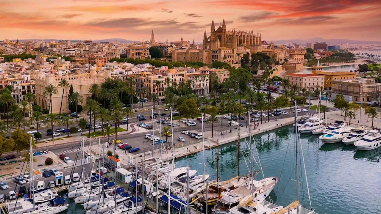 Where to eat in Palma, from heritage bakeries to Majorcan vermuterias in the Balearics