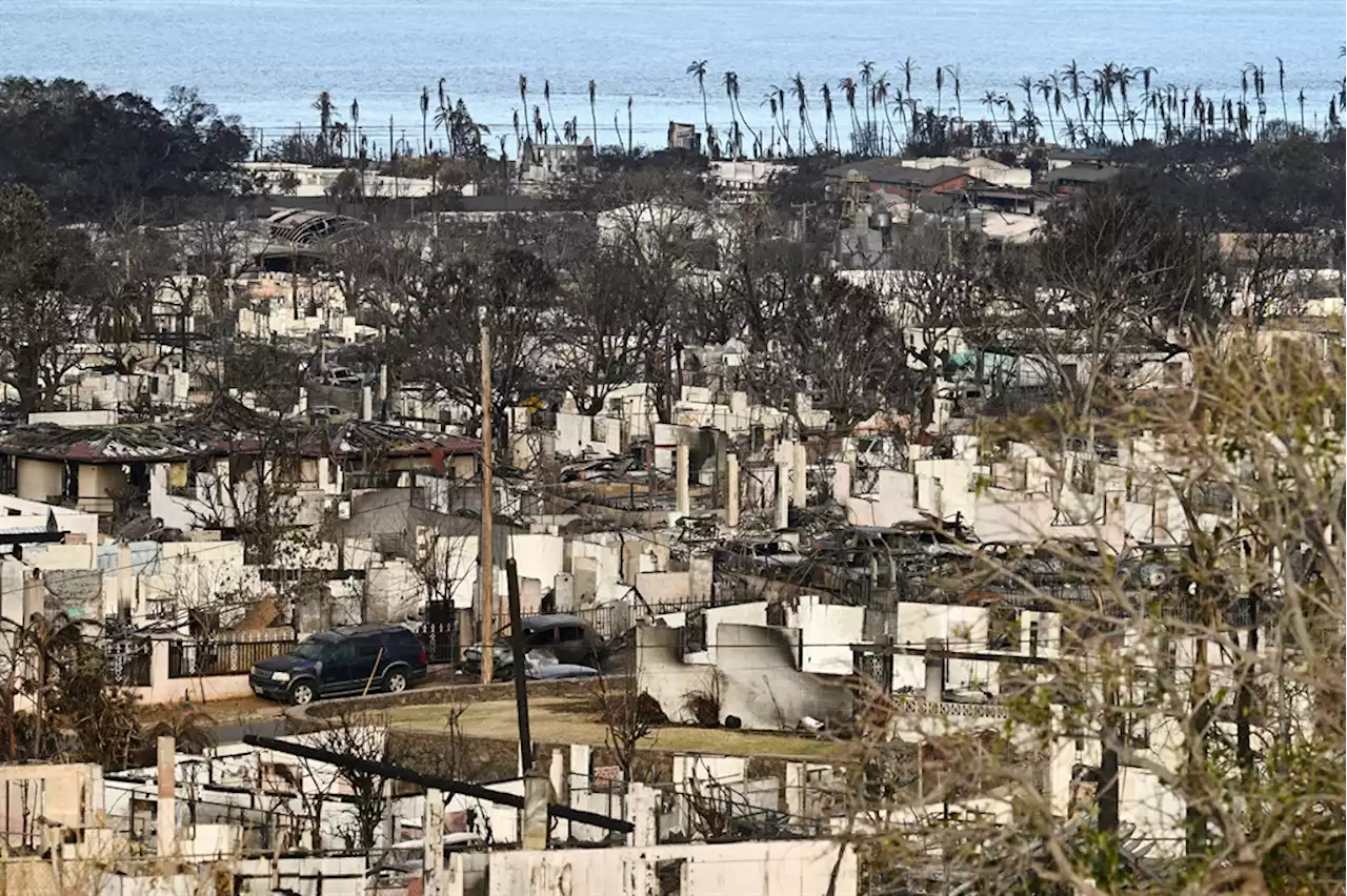 WATCH | 'No regrets': Hawaii officials say sounding emergency sirens would not have saved lives