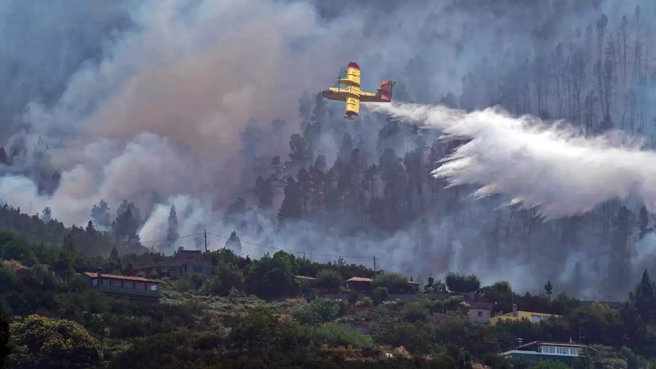 Grote natuurbrand op Tenerife verspreidt zich verder, brandweer is controle kwijt