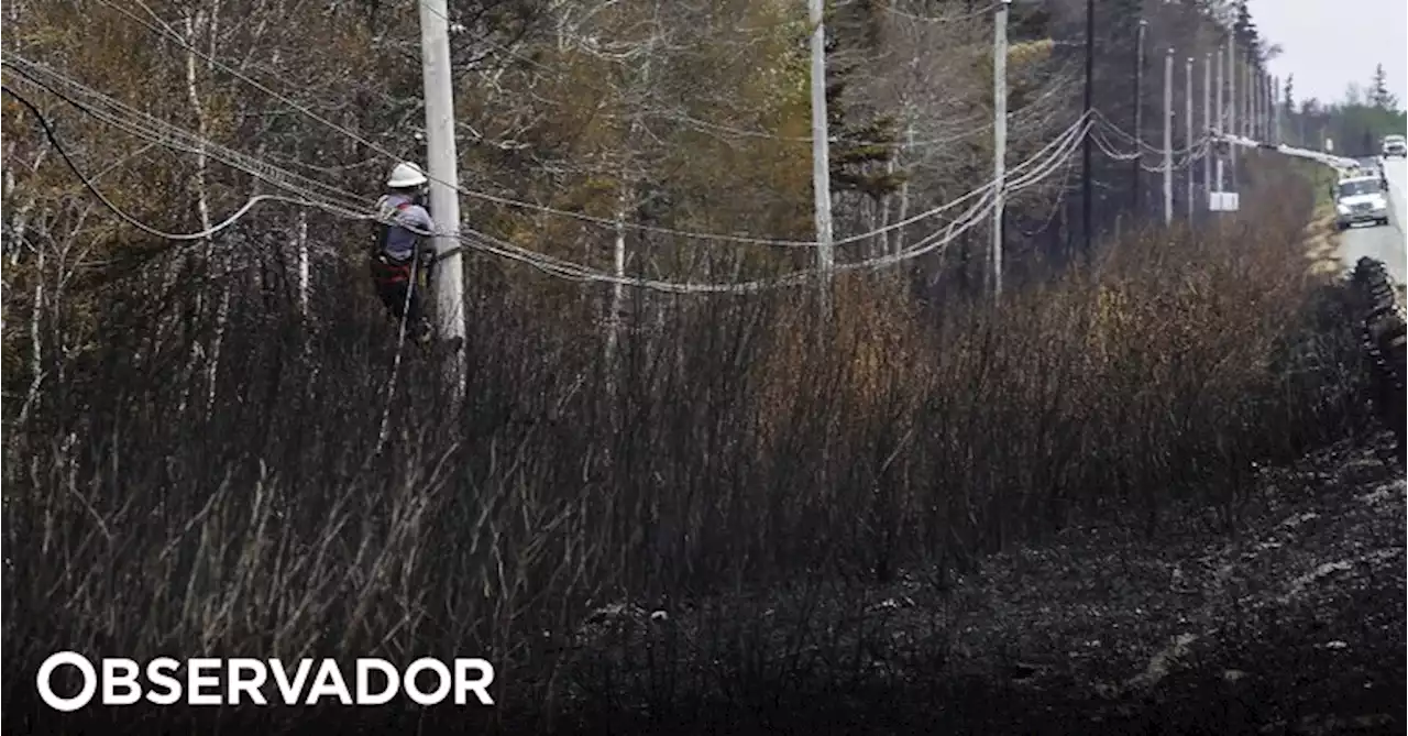 Maior cidade do norte do Canadá evacuada devido a incêndios florestais