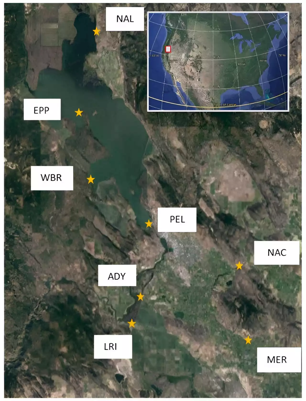 Researchers develop novel technique for sniffing out toxic algae blooms