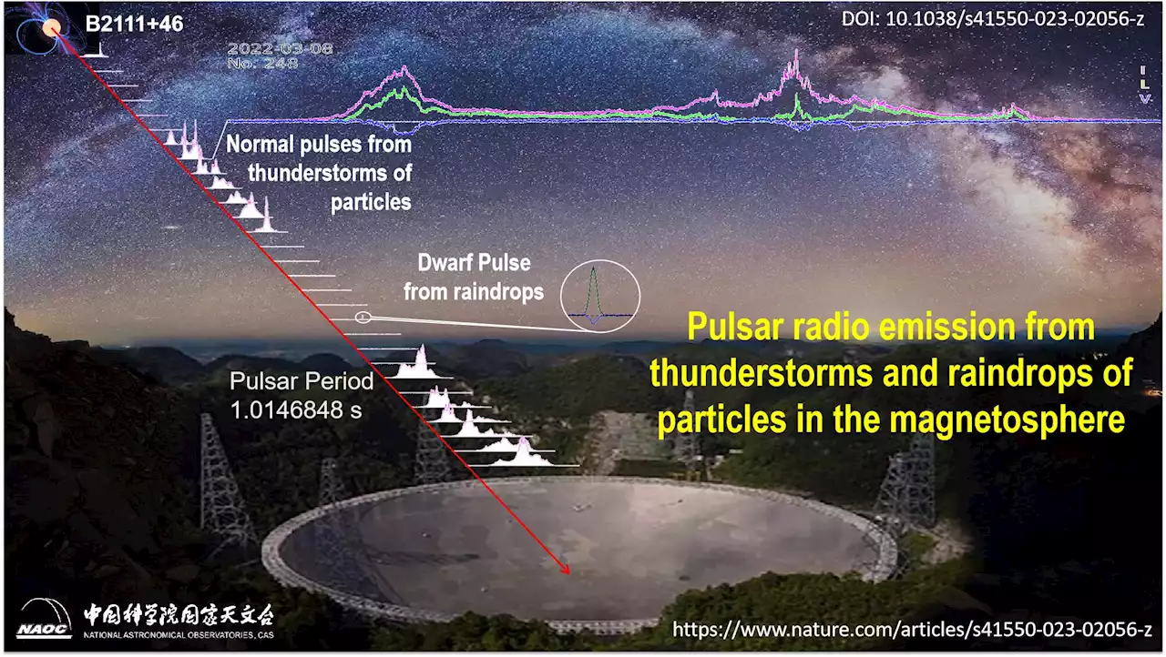 Scientists use FAST to discover a new population of 'dwarf' pulses