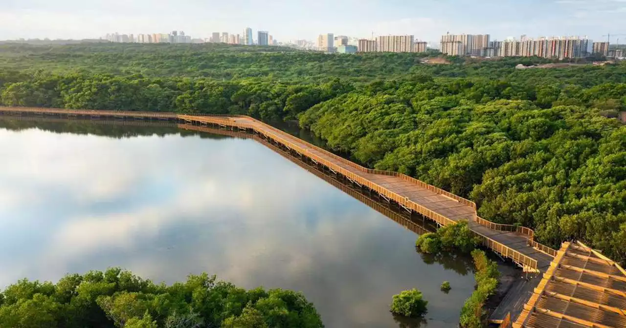 Ecoparque Mallorquín: desde esta fecha los turistas podrán visitar el nuevo atractivo turístico en Barranquilla