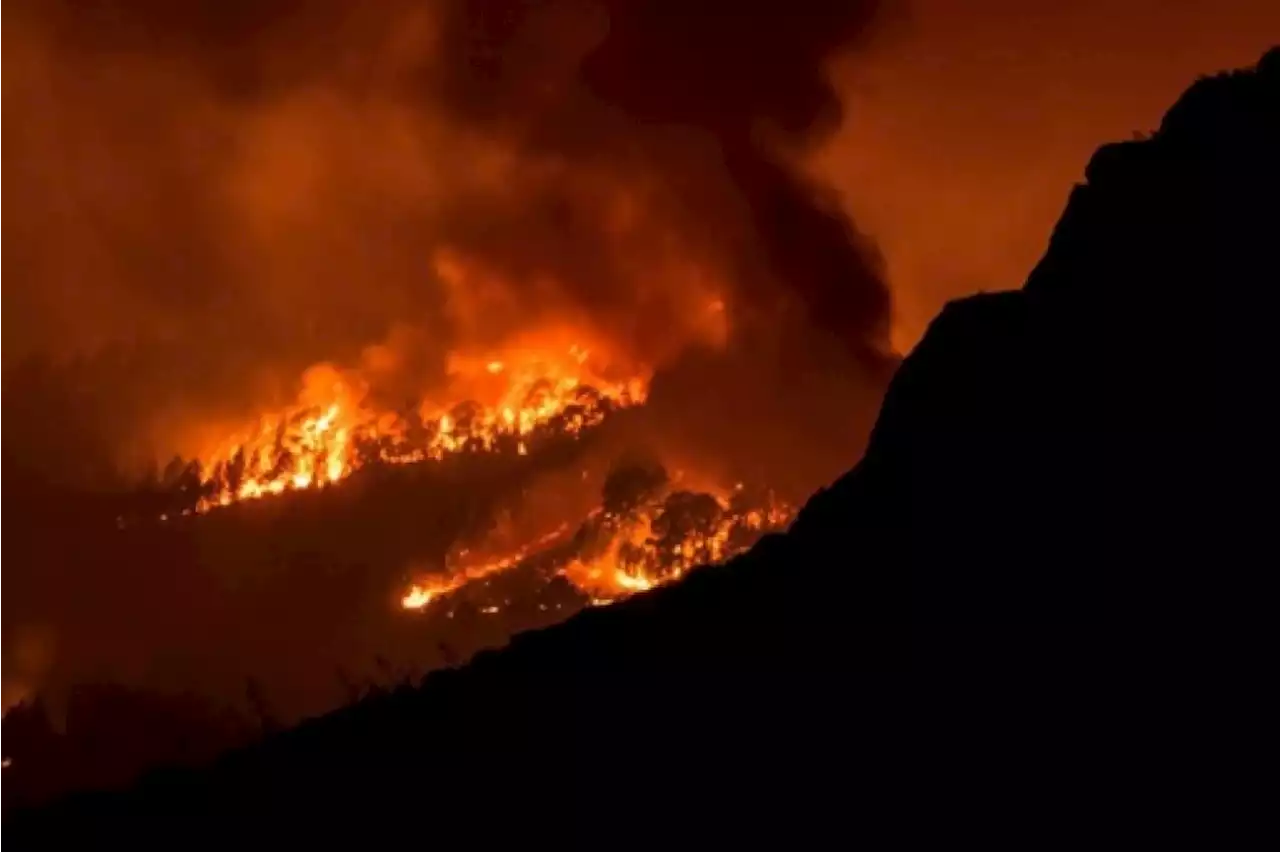 Incendie à Tenerife: les Affaires étrangères n'ont pas encore reçu de demande d'assistance