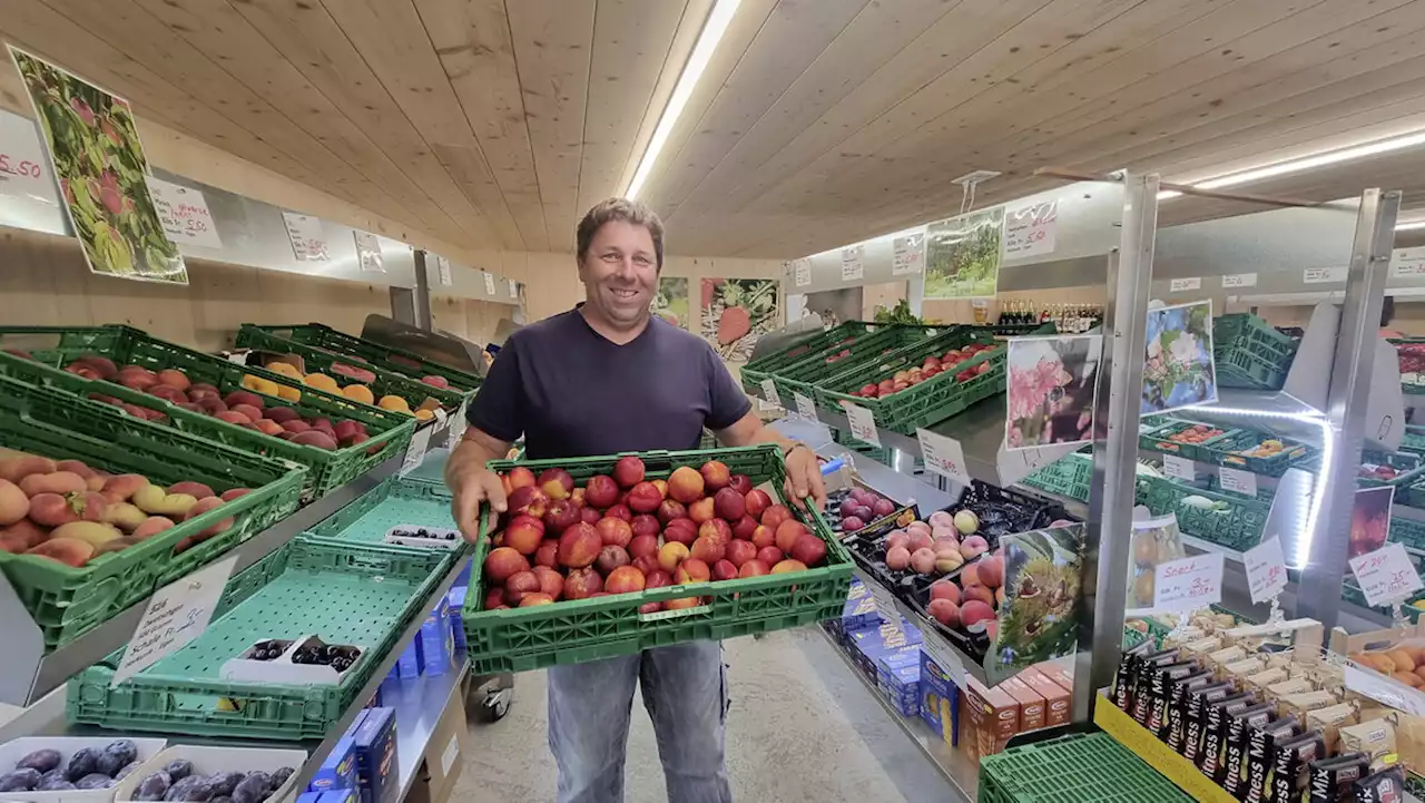 «Wenn der abrät, muss ich damit anfangen»