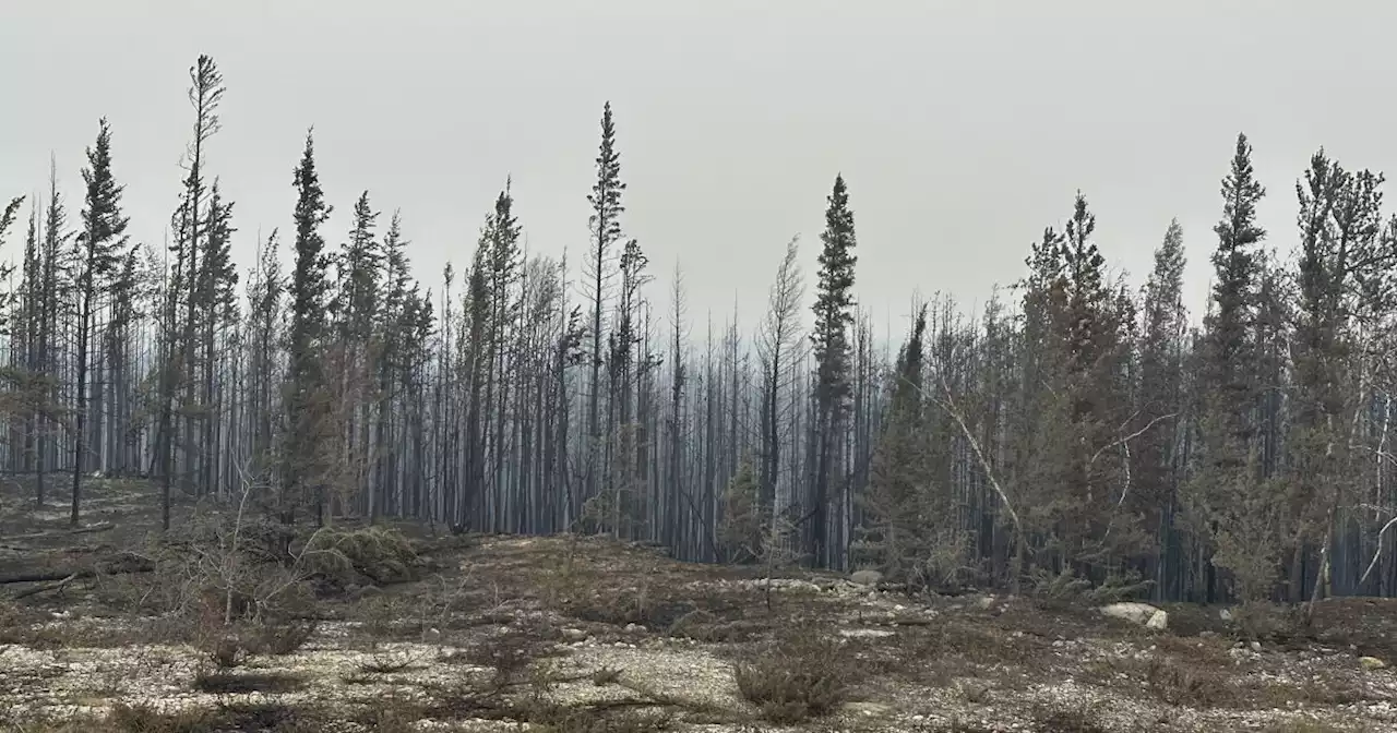 Residentes empiezan a evacuar mientras incendio se aproxima a los Territorios Noreste de Canadá