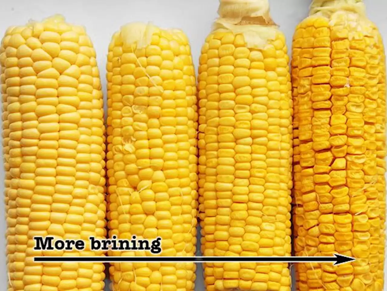 Should I Brine My Corn?