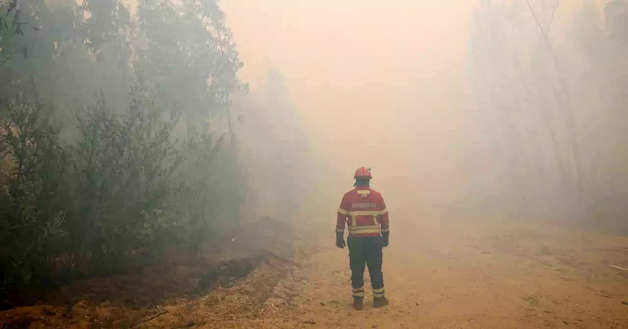 Leiria: fogo na Caranguejeira está em fase de resolução