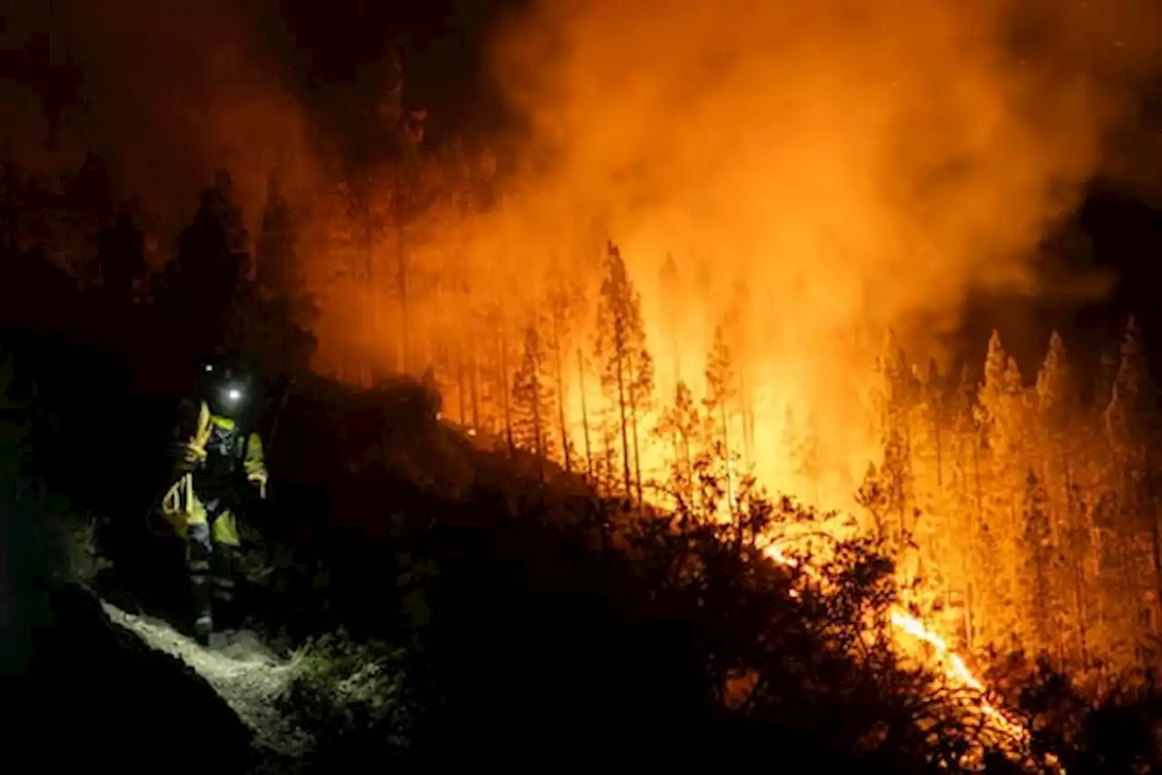 Canarie, incendio a Tenerife: autorità pronte ad evacuare 3800 persone