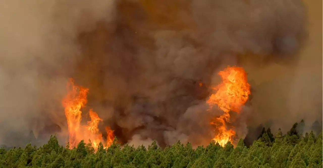 Incendio «fuori controllo» a Tenerife, 7.600 tra evacuati e confinati