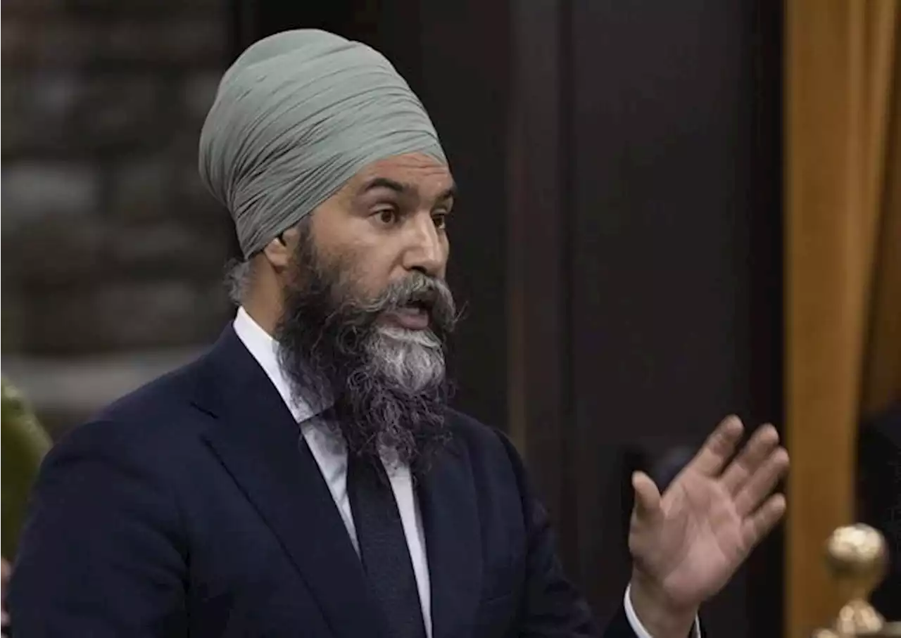 NDP calls on feds to give study permits to institutions with 'credible' housing plan