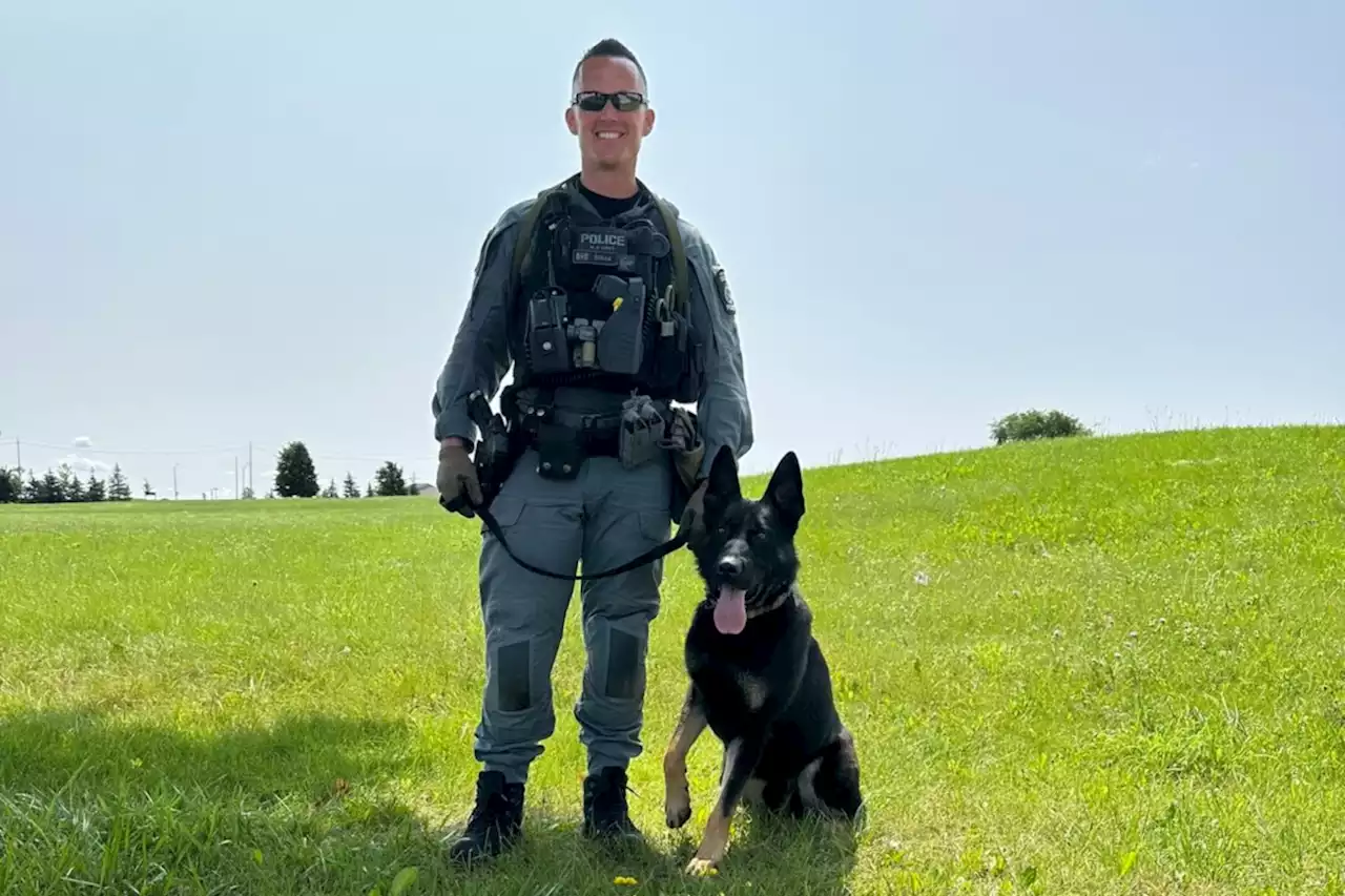 Police dog funeral a reminder of their unique bond with handlers