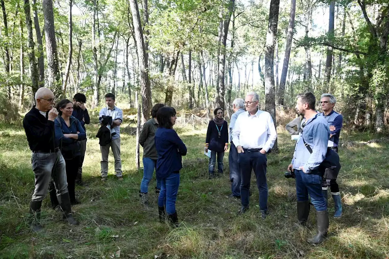 Lot-et-Garonne : une visite au crépuscule pour découvrir la faune de l’espace naturel du Rieucourt