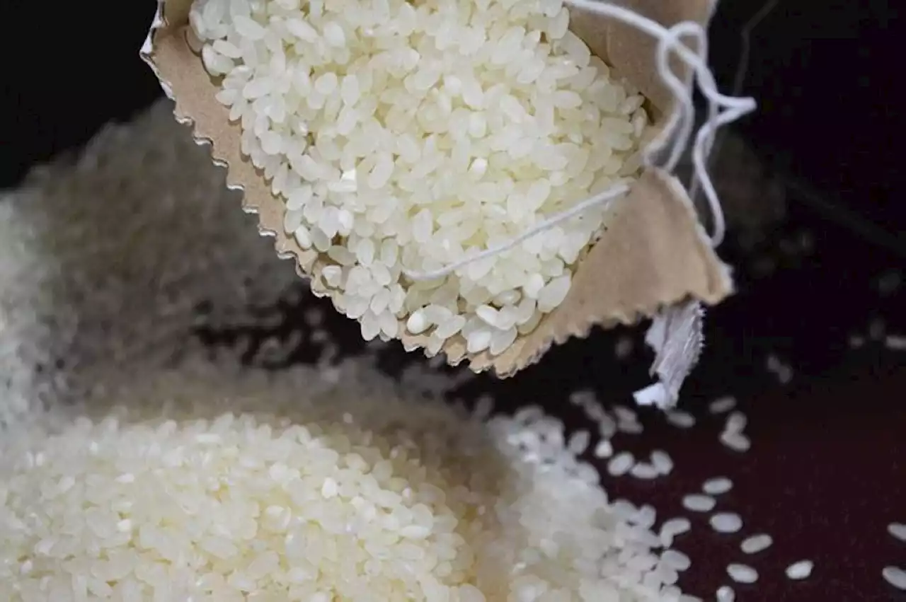 Trade chief suggests dietary adjustment amid soaring prices of rice