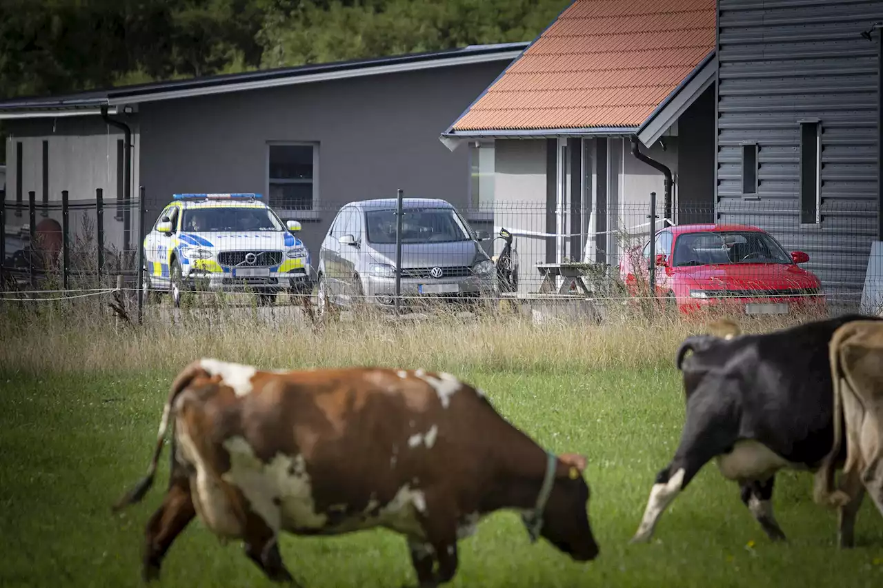 Efter Hyllingemordet – en man släppt ur häktet