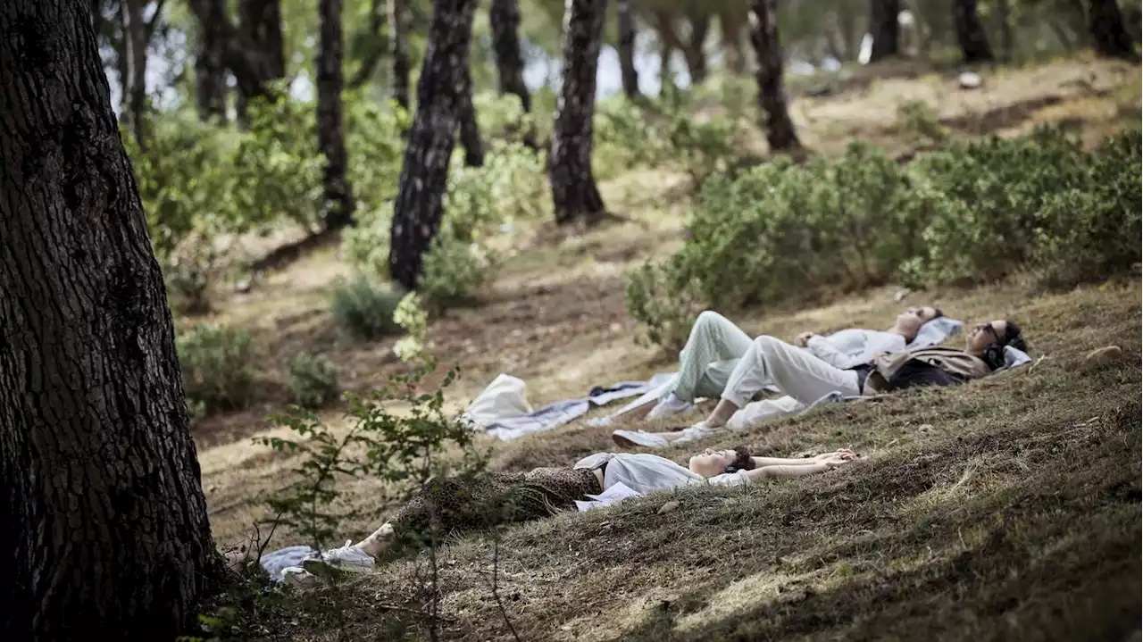 „Shared Landscapes“ der Berliner Festspiele: Sind Menschen auch Natur?