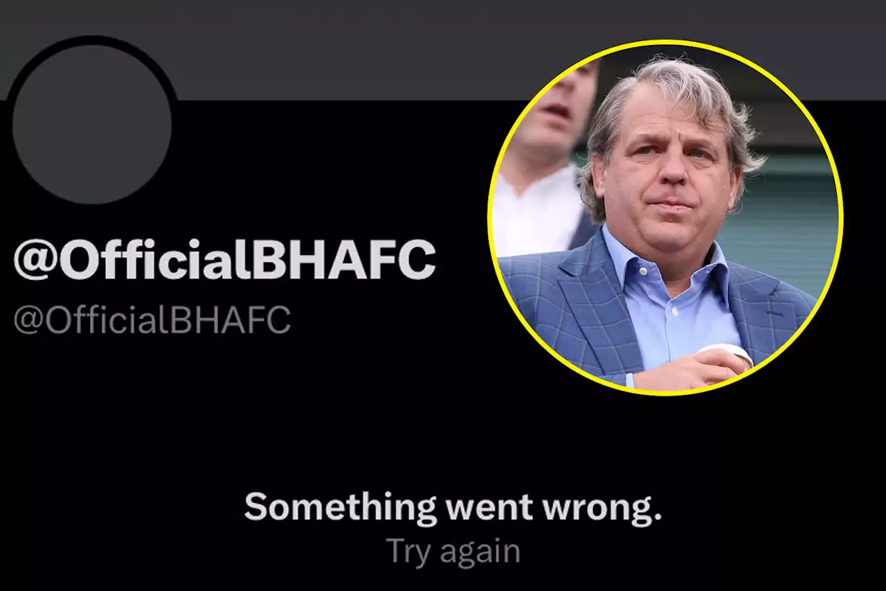 Fans make same joke as Brighton's Twitter account mysteriously disappears