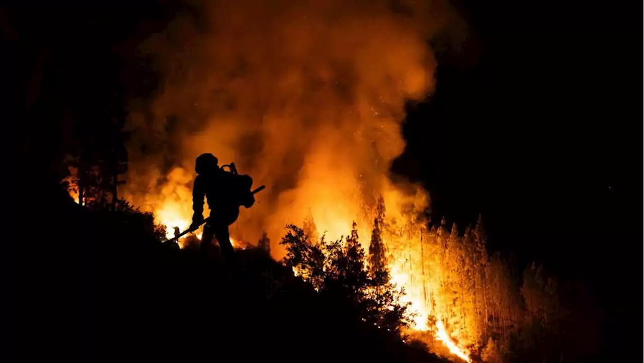 Where the Tenerife wildfires have spread and the latest travel advice