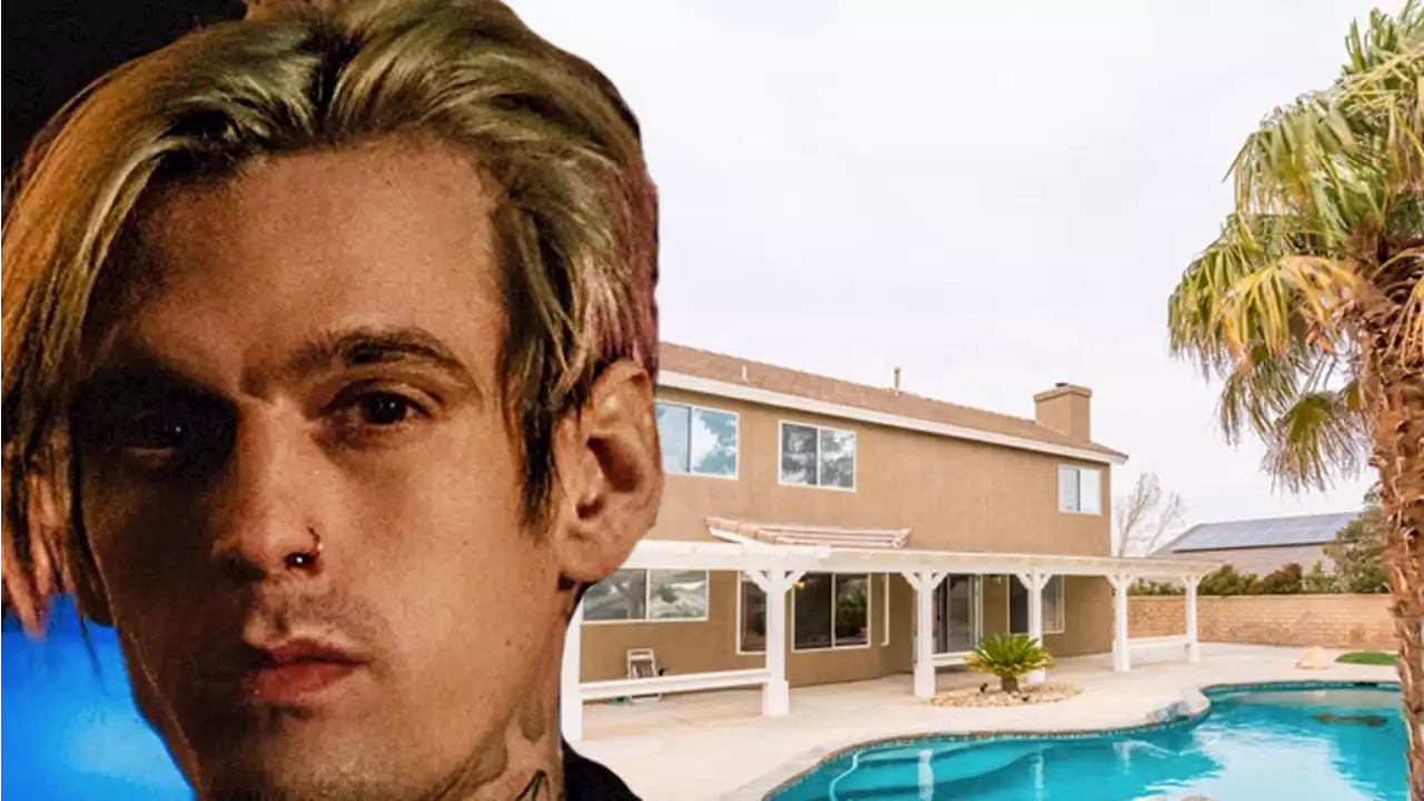 Aaron Carter's First Home is All a Single Guy With a Dog Could Ask For