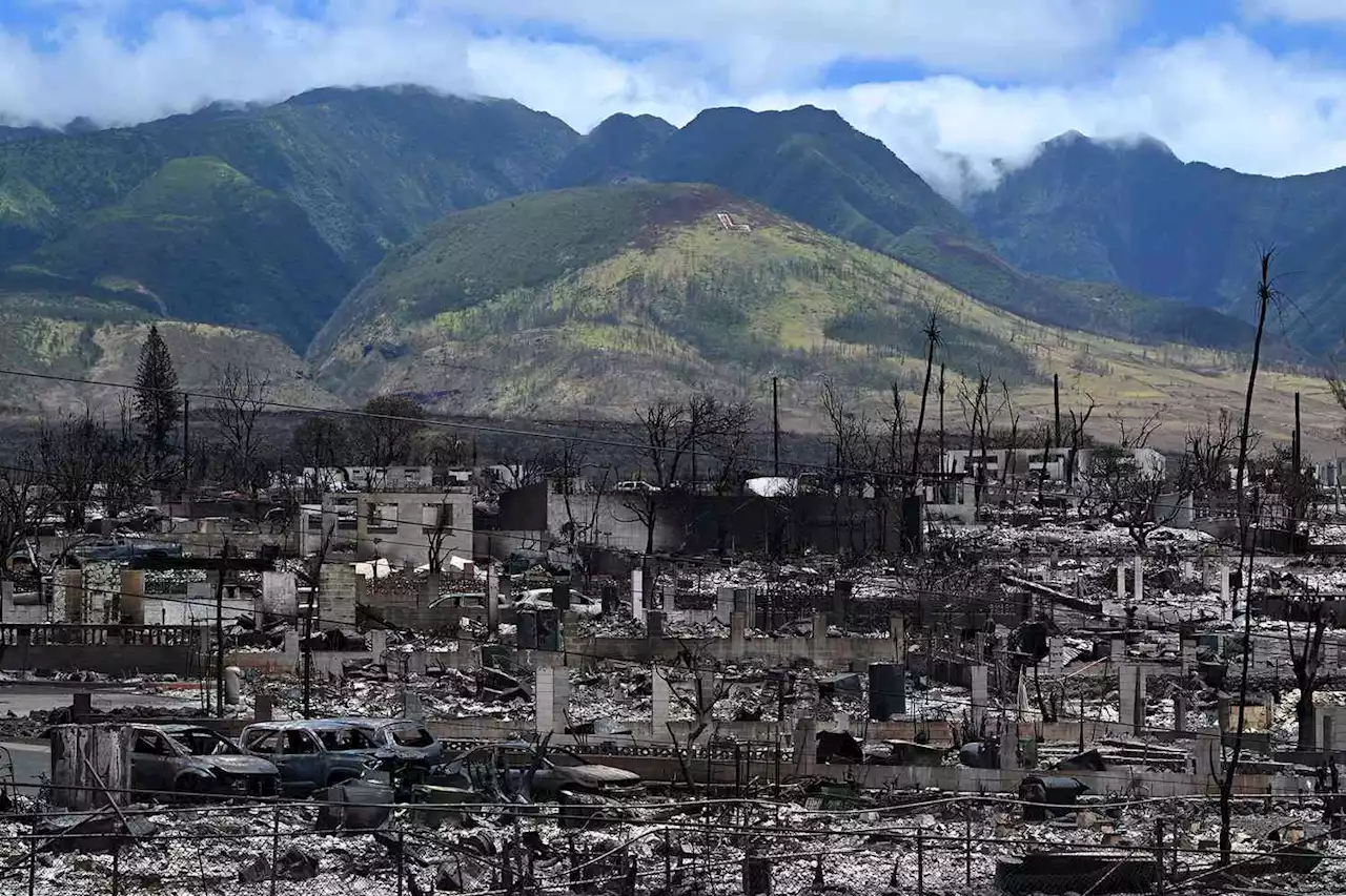 Pelancong tidak endahkan kebakaran hutan di Maui, cetus kemarahan penduduk