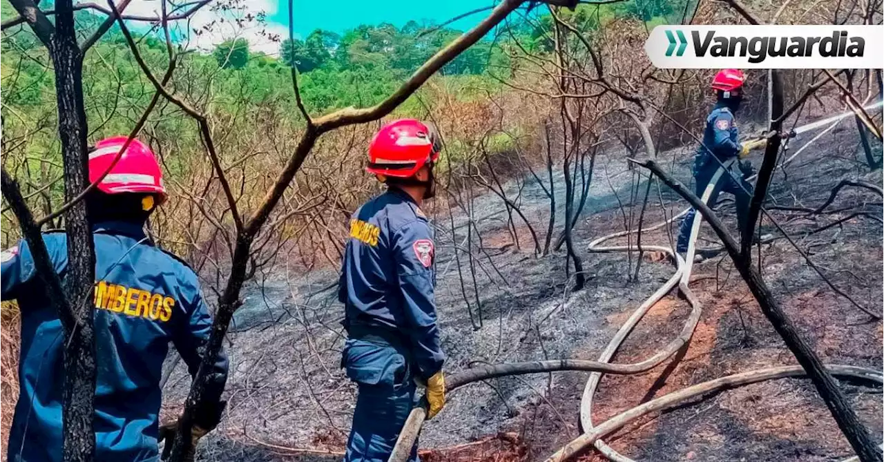 Alerta: &#034;Santander está en alto riesgo de incendios forestales&#034;