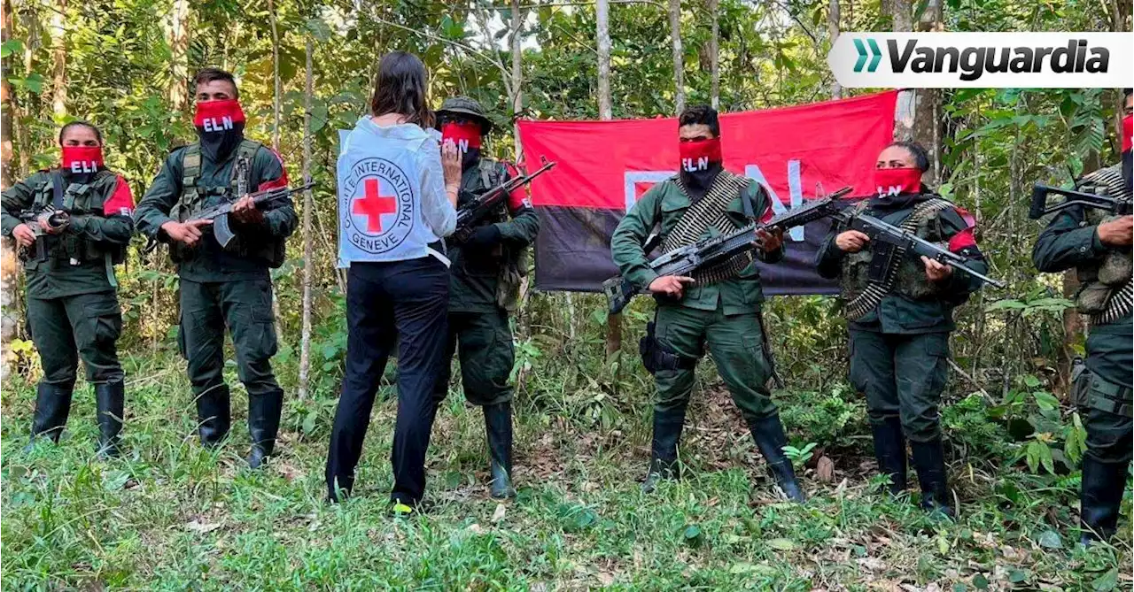 ¿Cese al fuego? Eln impuso paro armado en el Chocó por enfrentamientos con paramilitares