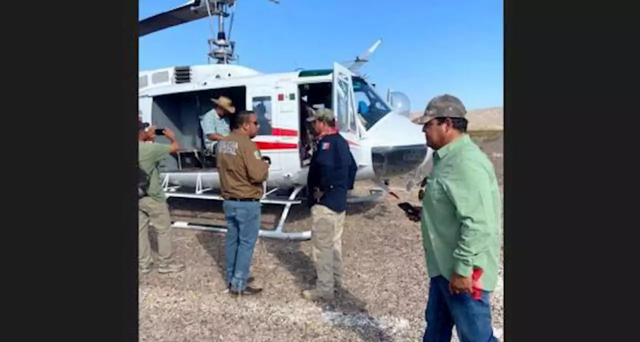 Localizan a dos personas sin vida en sierra de Ocampo, Coahuila; FGE analiza si se trata de cieneguenses abandonados por ‘polleros’