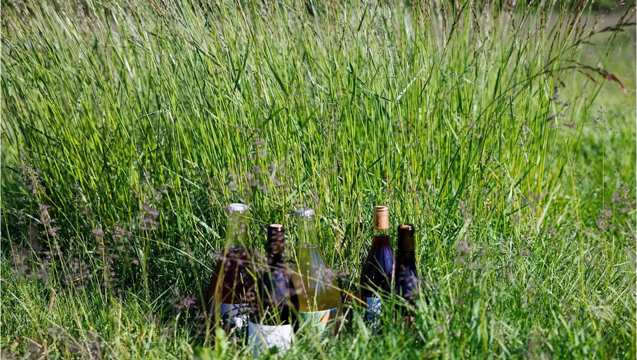 This Outdoor Festival in Vancouver Celebrates Natural Wine