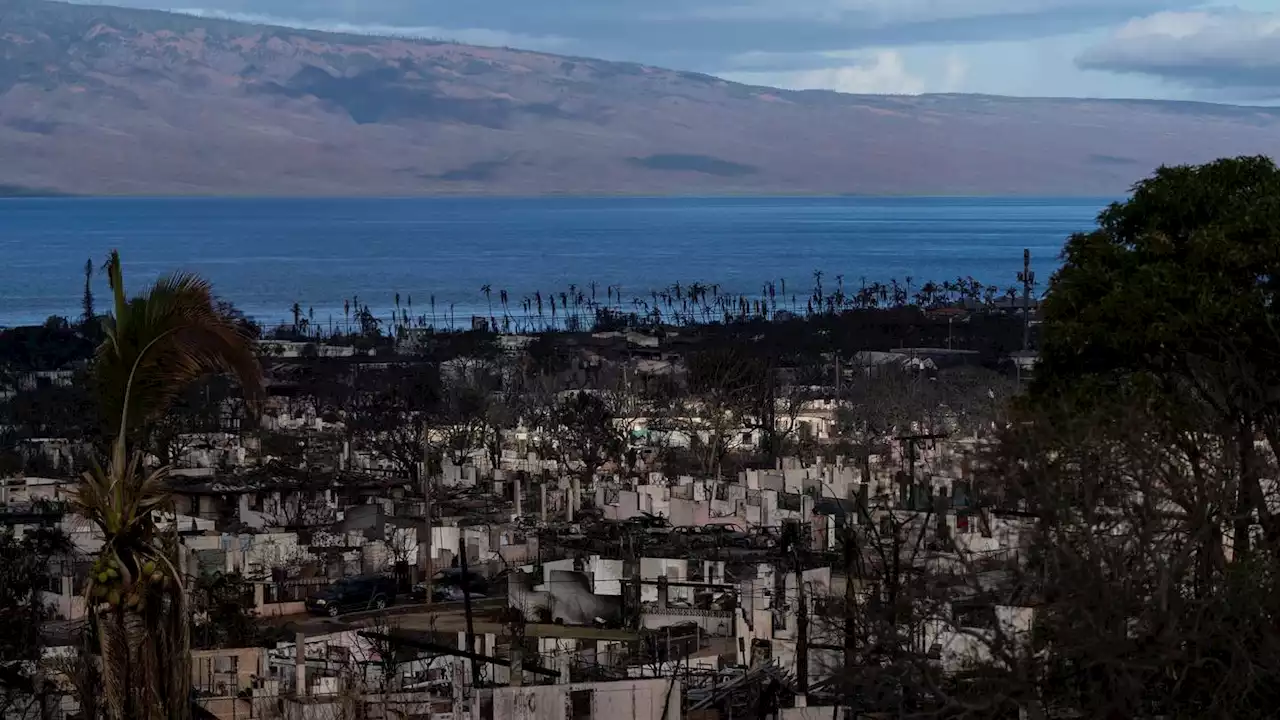 Schools reopening, traffic moving again in signs of recovery from Maui fires that killed 110