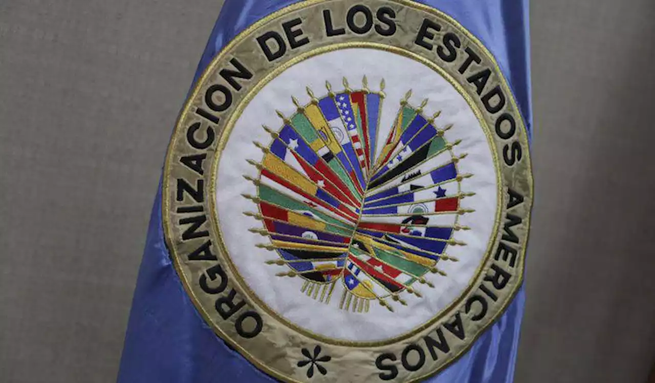 Jefa de misión electoral de la OEA en Ecuador pide la participación de todas las fuerzas